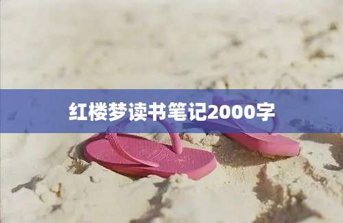 红楼梦读书笔记2000字