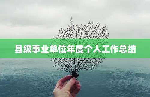 县级事业单位年度个人工作总结