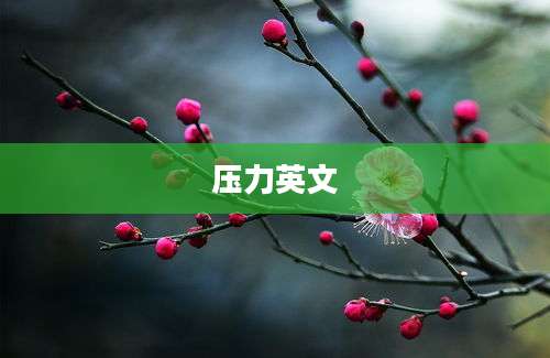 压力英文