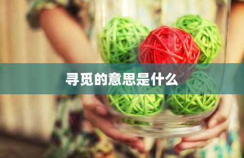 寻觅的意思是什么