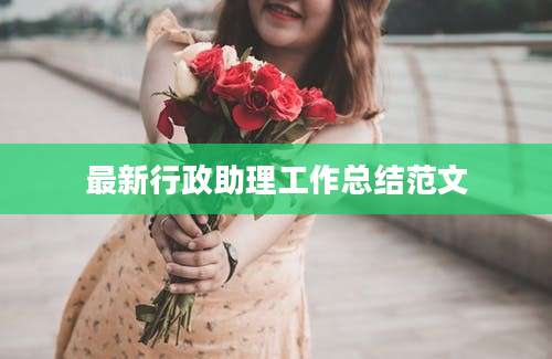 最新行政助理工作总结范文
