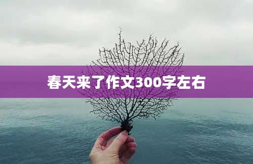 春天来了作文300字左右