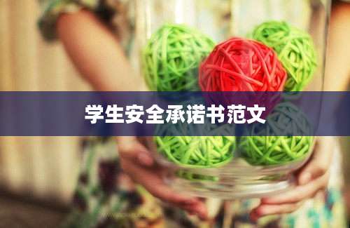 学生安全承诺书范文