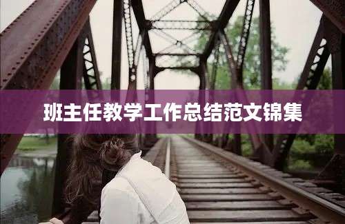 班主任教学工作总结范文锦集