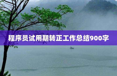 程序员试用期转正工作总结900字