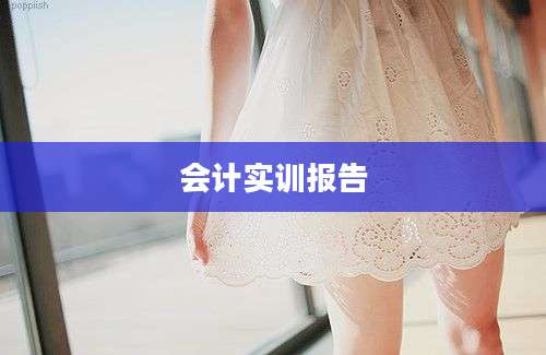 会计实训报告