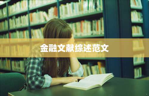 金融文献综述范文
