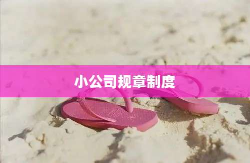 小公司规章制度
