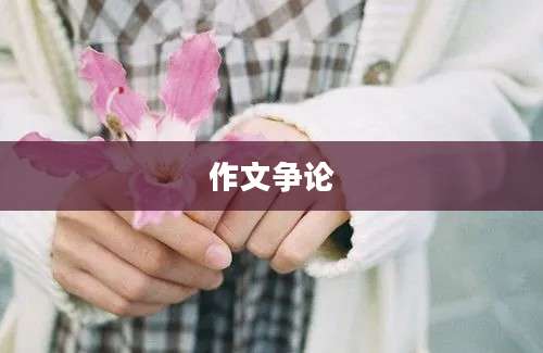 作文争论