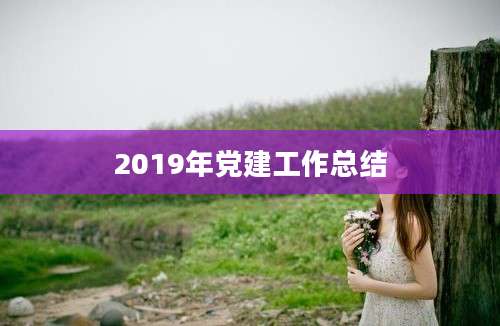 2019年党建工作总结