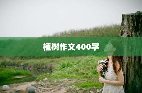 植树作文400字