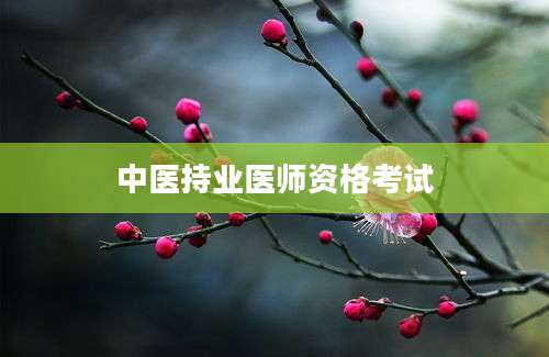 中医持业医师资格考试