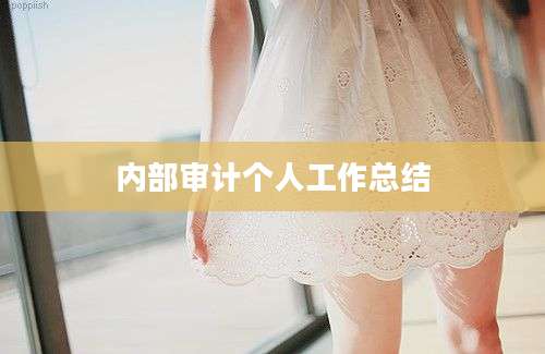 内部审计个人工作总结