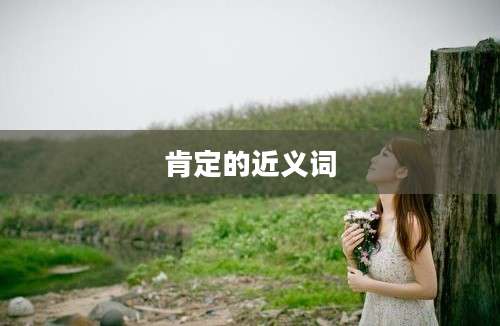 肯定的近义词