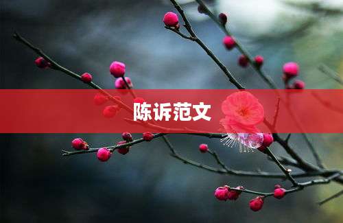 陈诉范文