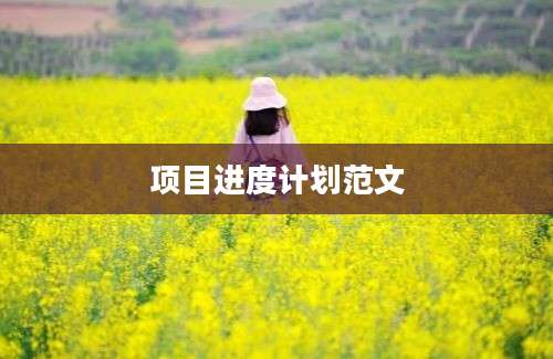 项目进度计划范文