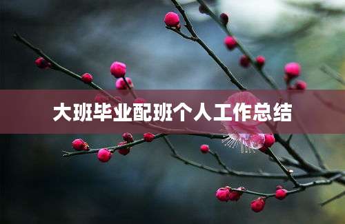 大班毕业配班个人工作总结