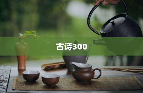 古诗300