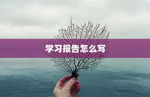 学习报告怎么写