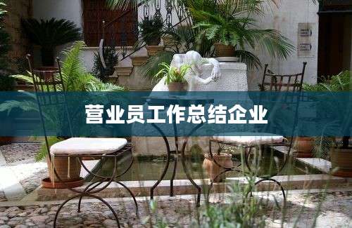 营业员工作总结企业