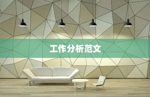 工作分析范文