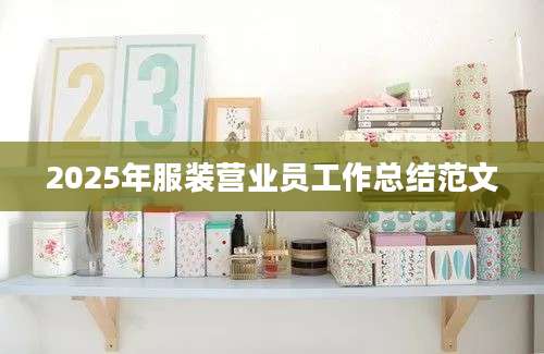2025年服装营业员工作总结范文