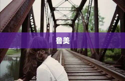 鲁美