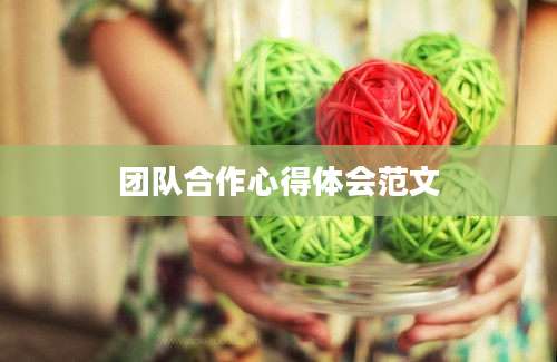 团队合作心得体会范文