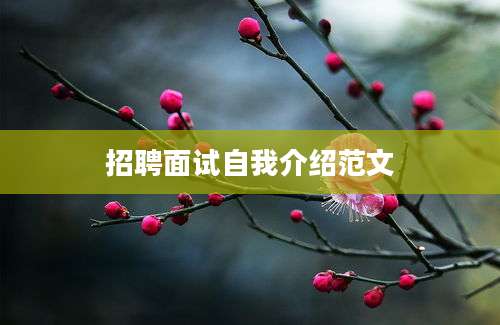 招聘面试自我介绍范文