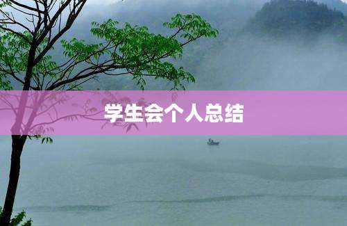 学生会个人总结