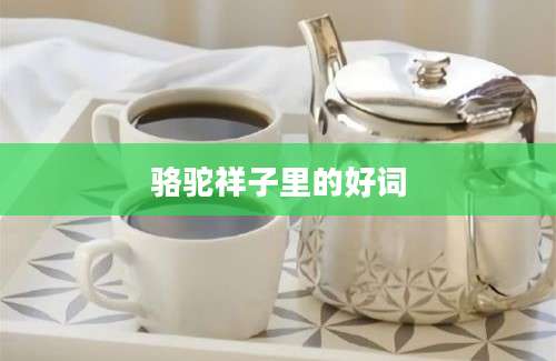 骆驼祥子里的好词