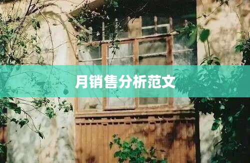 月销售分析范文