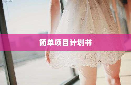 简单项目计划书