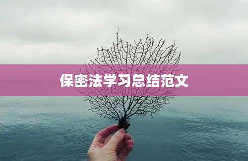 保密法学习总结范文