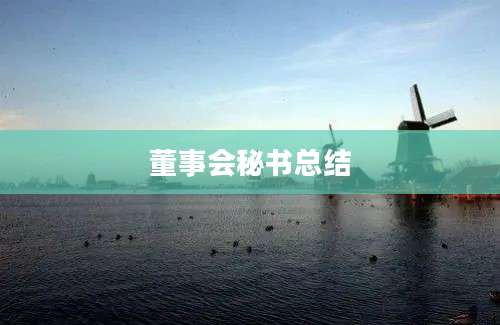 董事会秘书总结