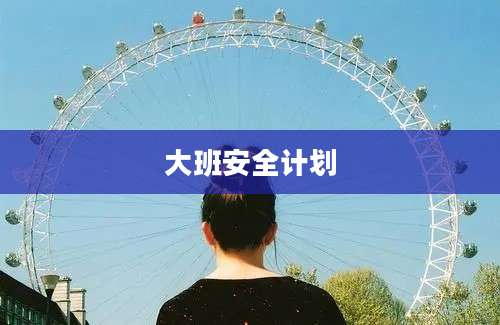 大班安全计划