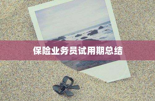 保险业务员试用期总结