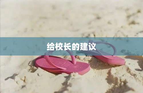 给校长的建议
