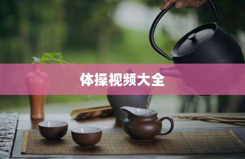 体操视频大全