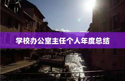学校办公室主任个人年度总结