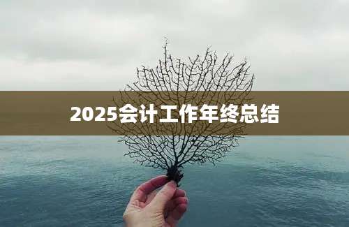 2025会计工作年终总结