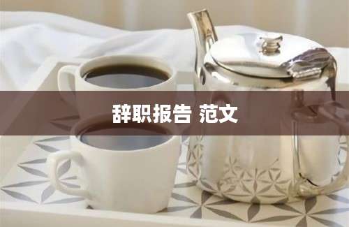 辞职报告 范文