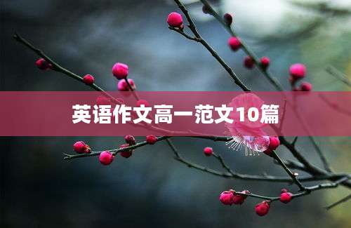 英语作文高一范文10篇