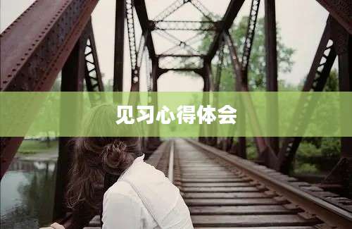 见习心得体会
