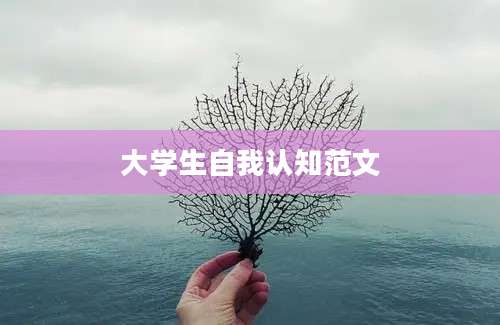 大学生自我认知范文