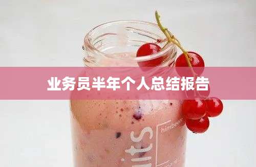 业务员半年个人总结报告