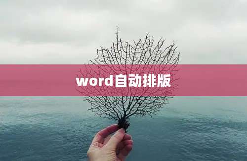 word自动排版