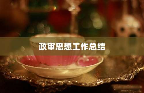 政审思想工作总结