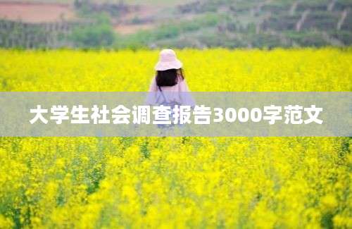 大学生社会调查报告3000字范文