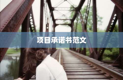 项目承诺书范文